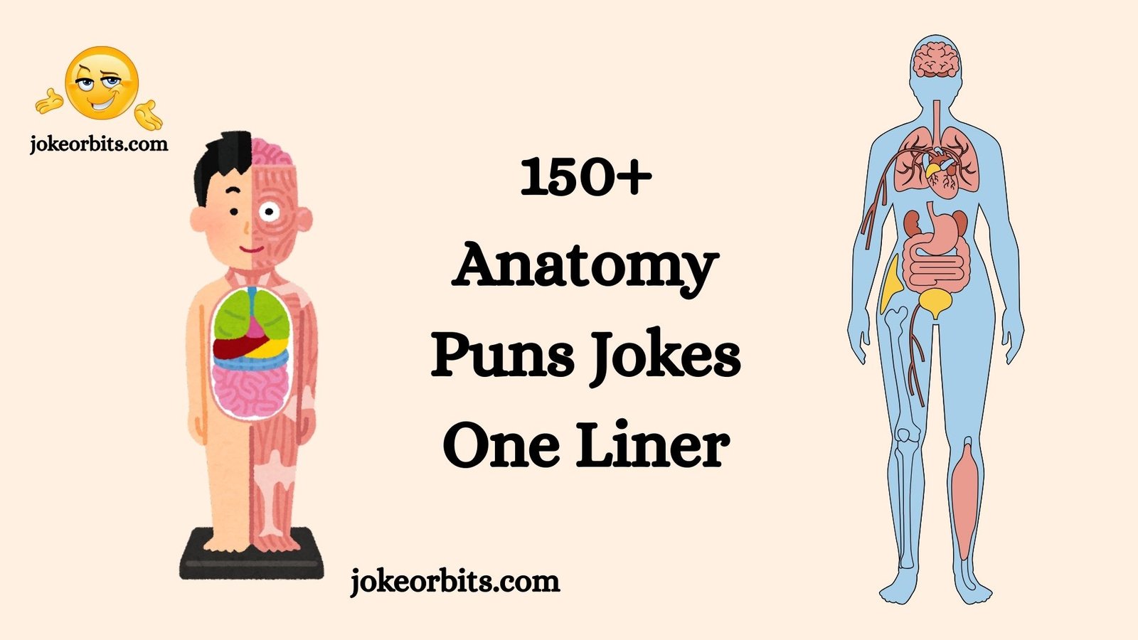 Anatomy Puns Jokes One Liner