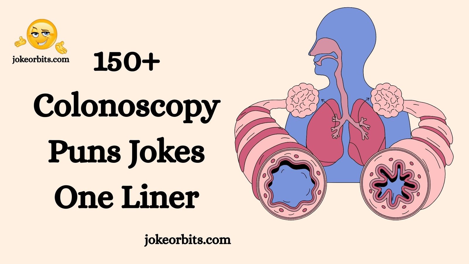 Colonoscopy Puns Jokes One Liner