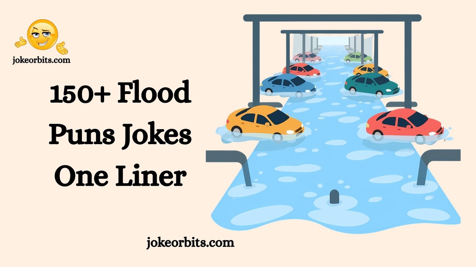 Flood Puns Jokes One Liner