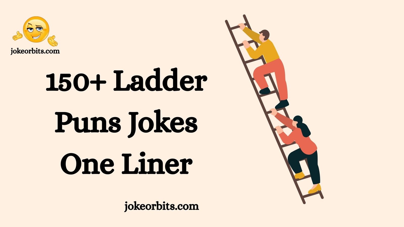 Ladder Puns Jokes One Liner