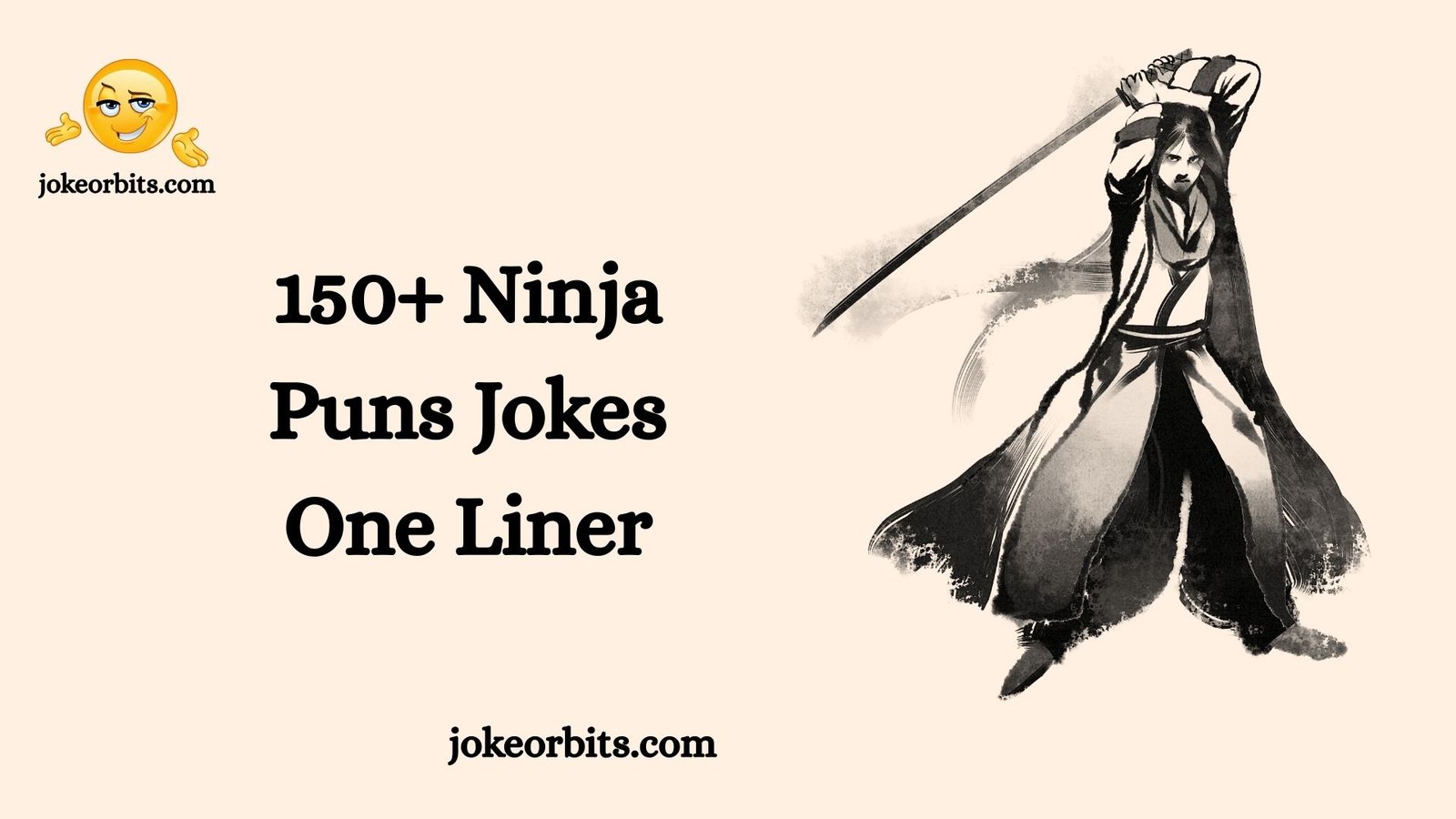 Ninja Puns Jokes One Liner