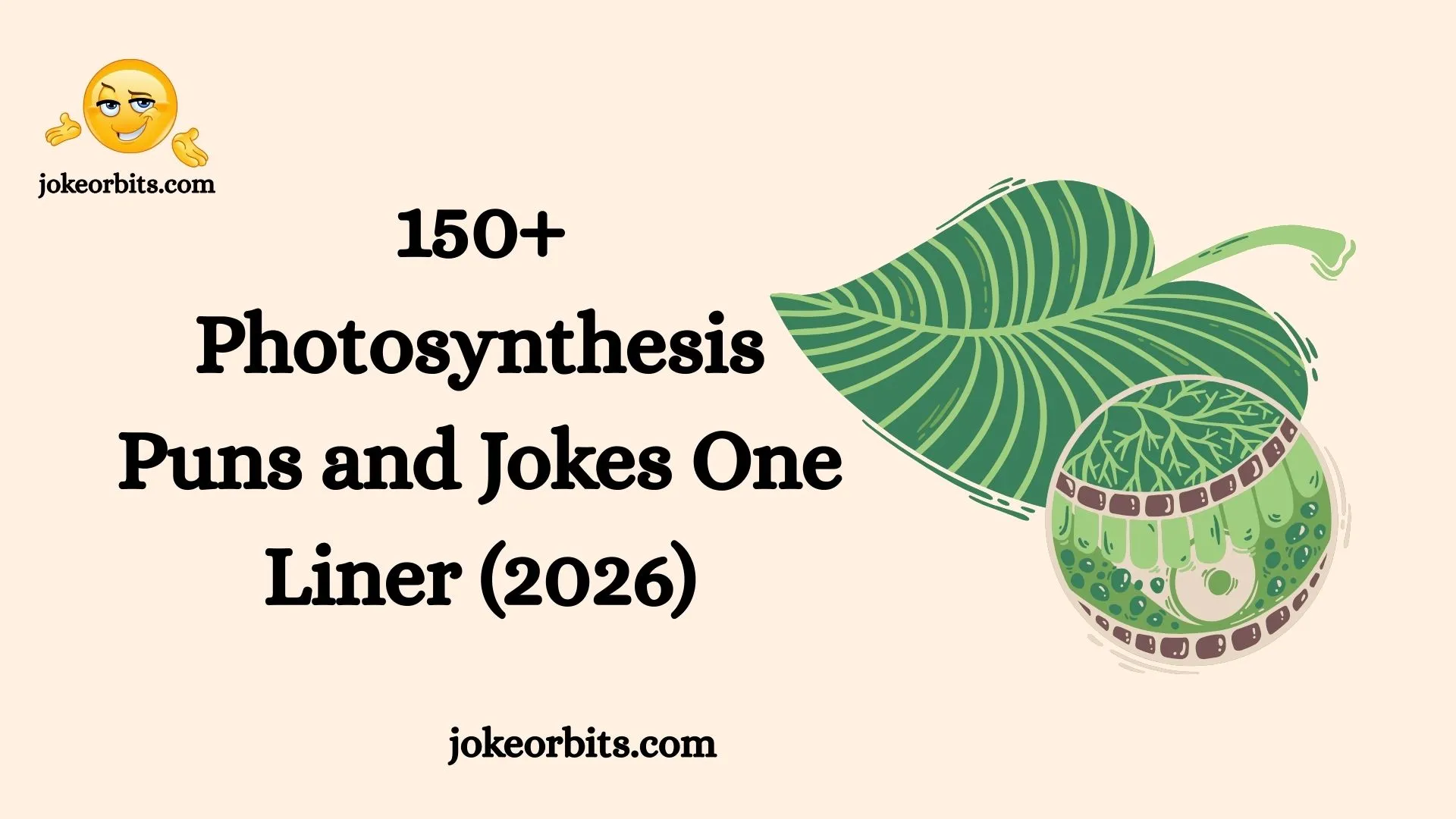 Photosynthesis Puns and Jokes One Liner