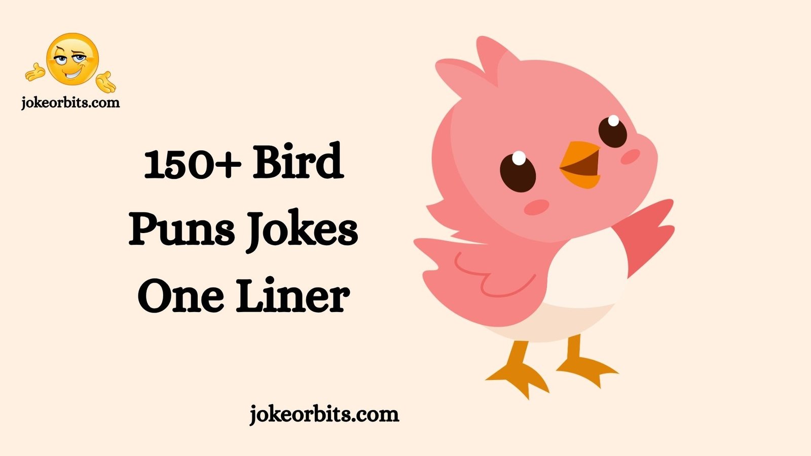 Bird Puns Jokes