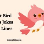 Bird Puns Jokes