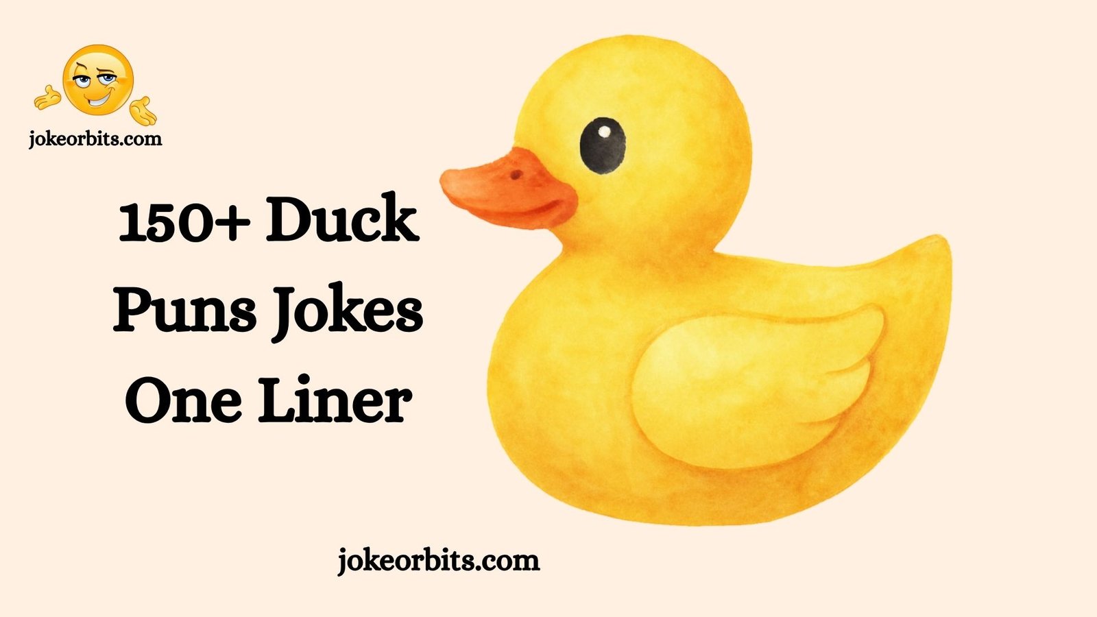 Duck Puns Jokes