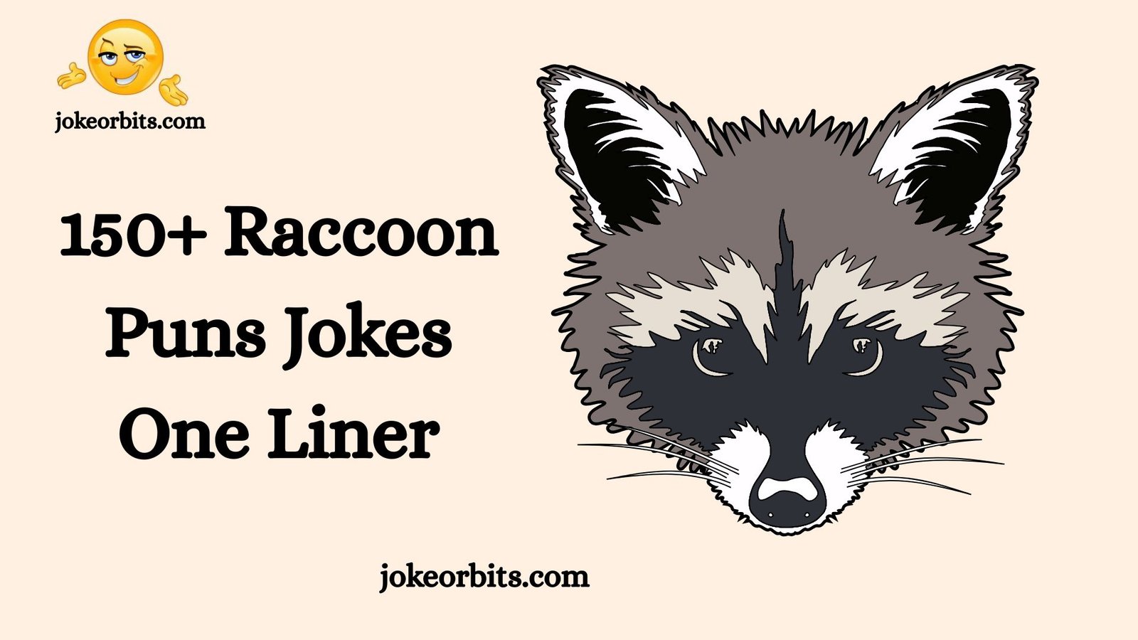 Raccoon Puns Jokes