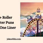 Roller Coaster Puns Jokes