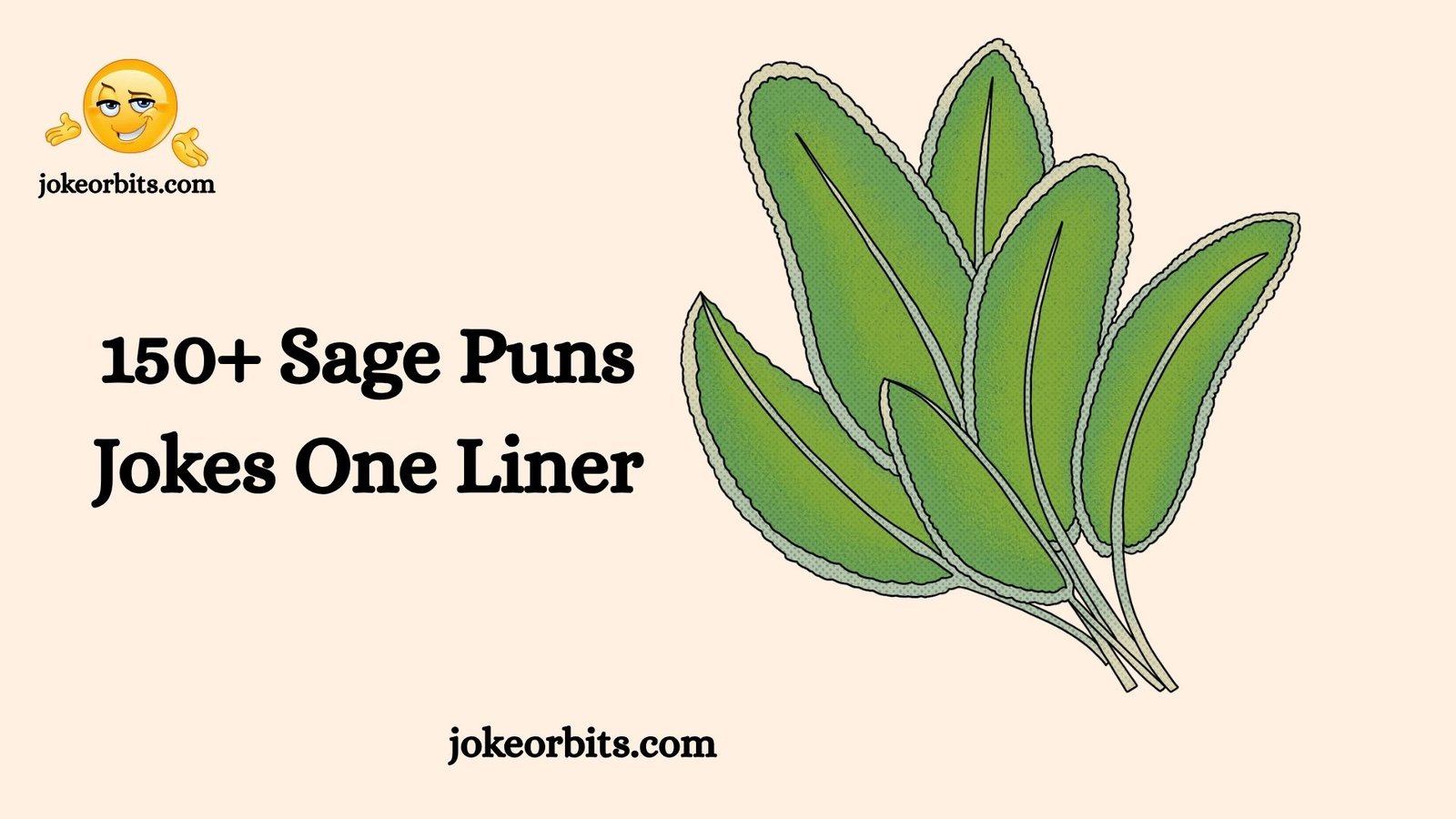 Sage Puns Jokes