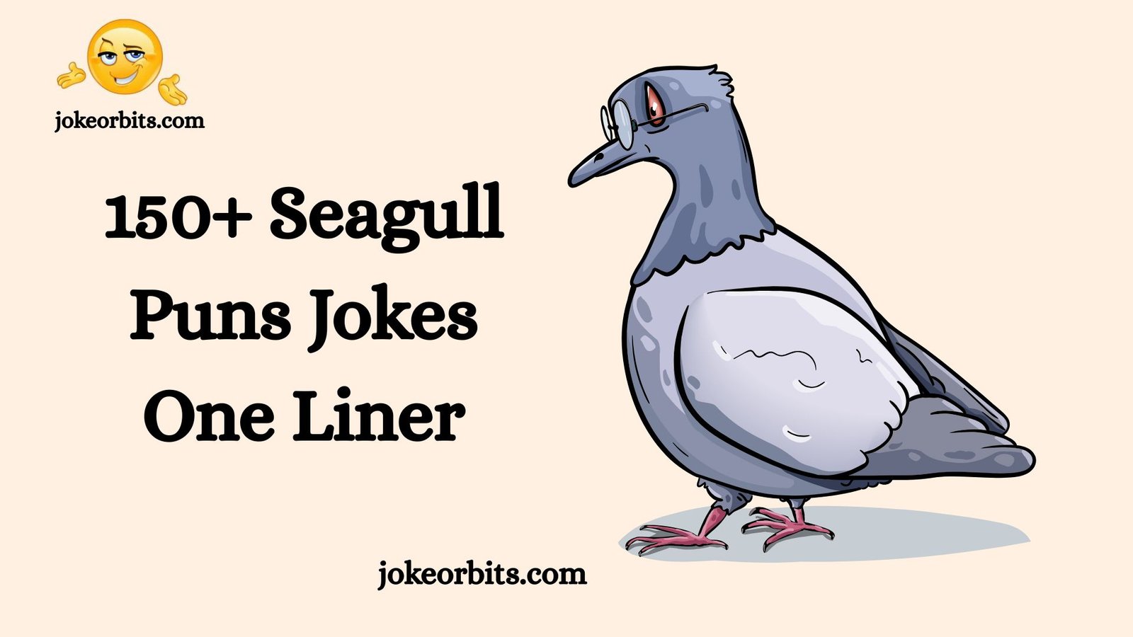 Seagull Puns Jokes