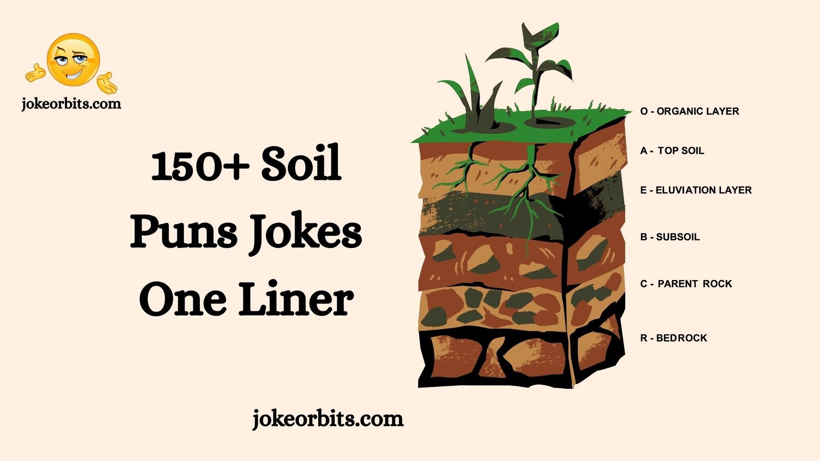 Soil Puns Jokes