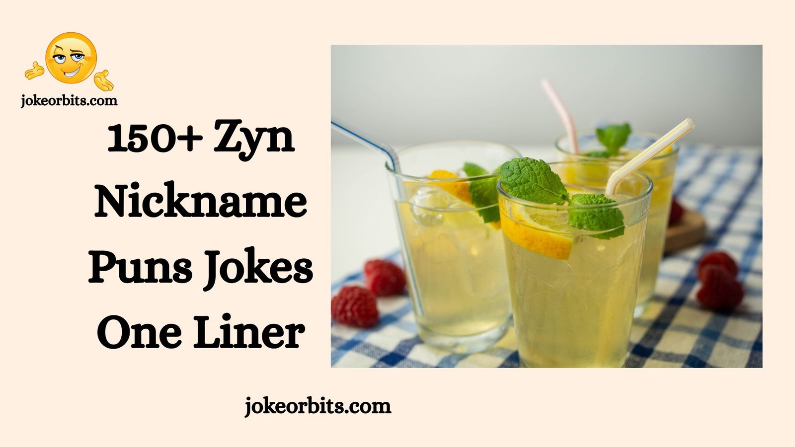 Zyn Nickname Puns Jokes