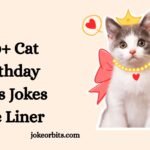Cat Birthday Puns Jokes