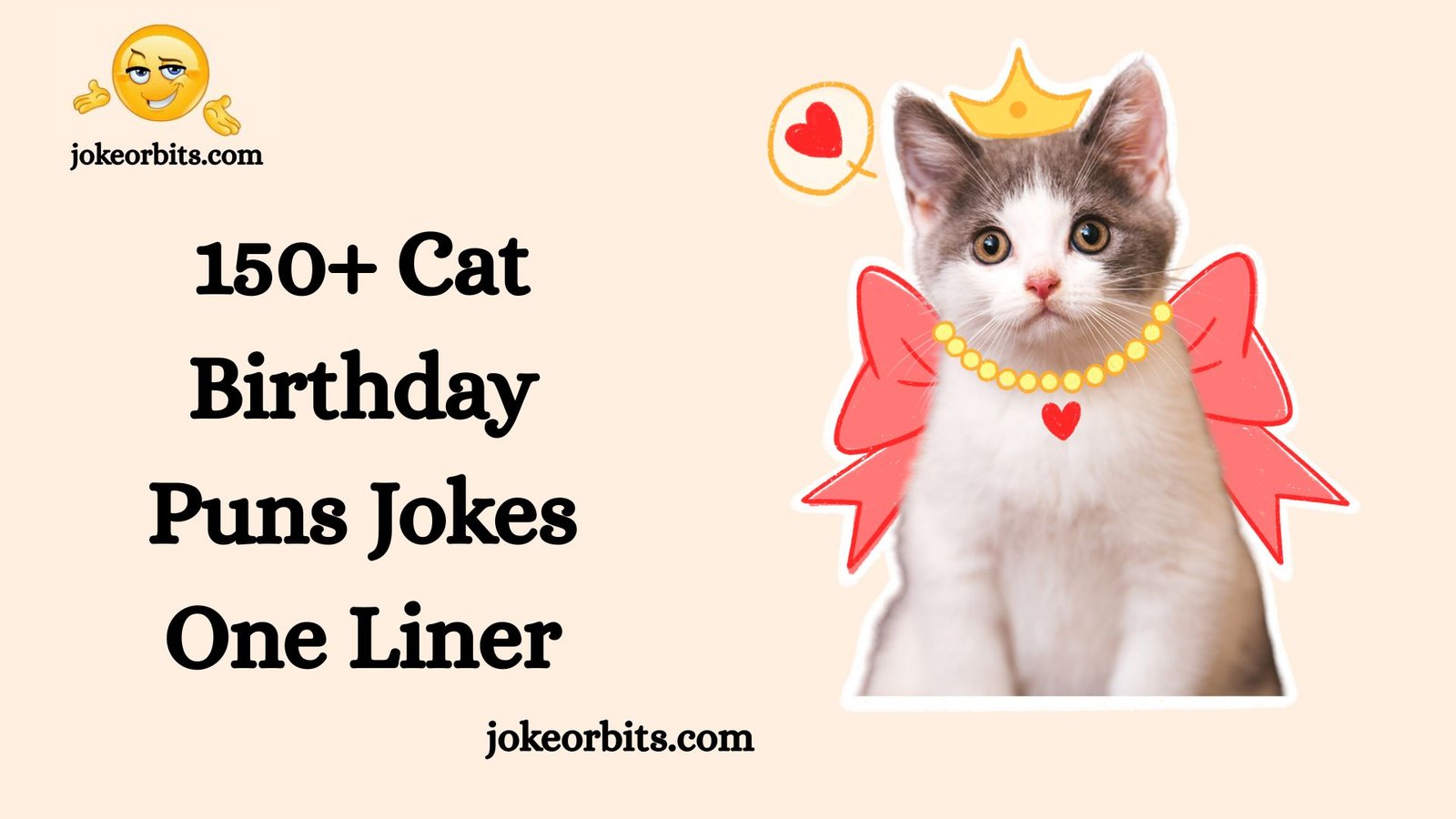 Cat Birthday Puns Jokes