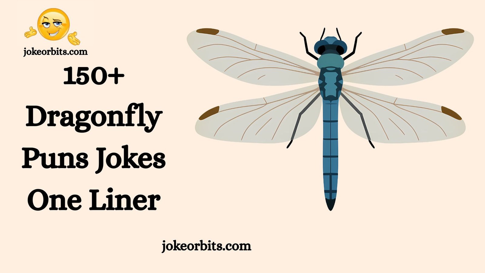 Dragonfly Puns Jokes