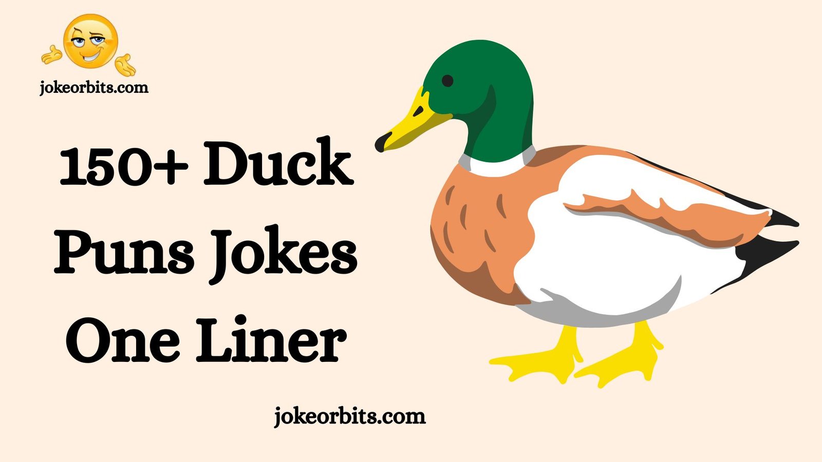 Duck Puns Jokes
