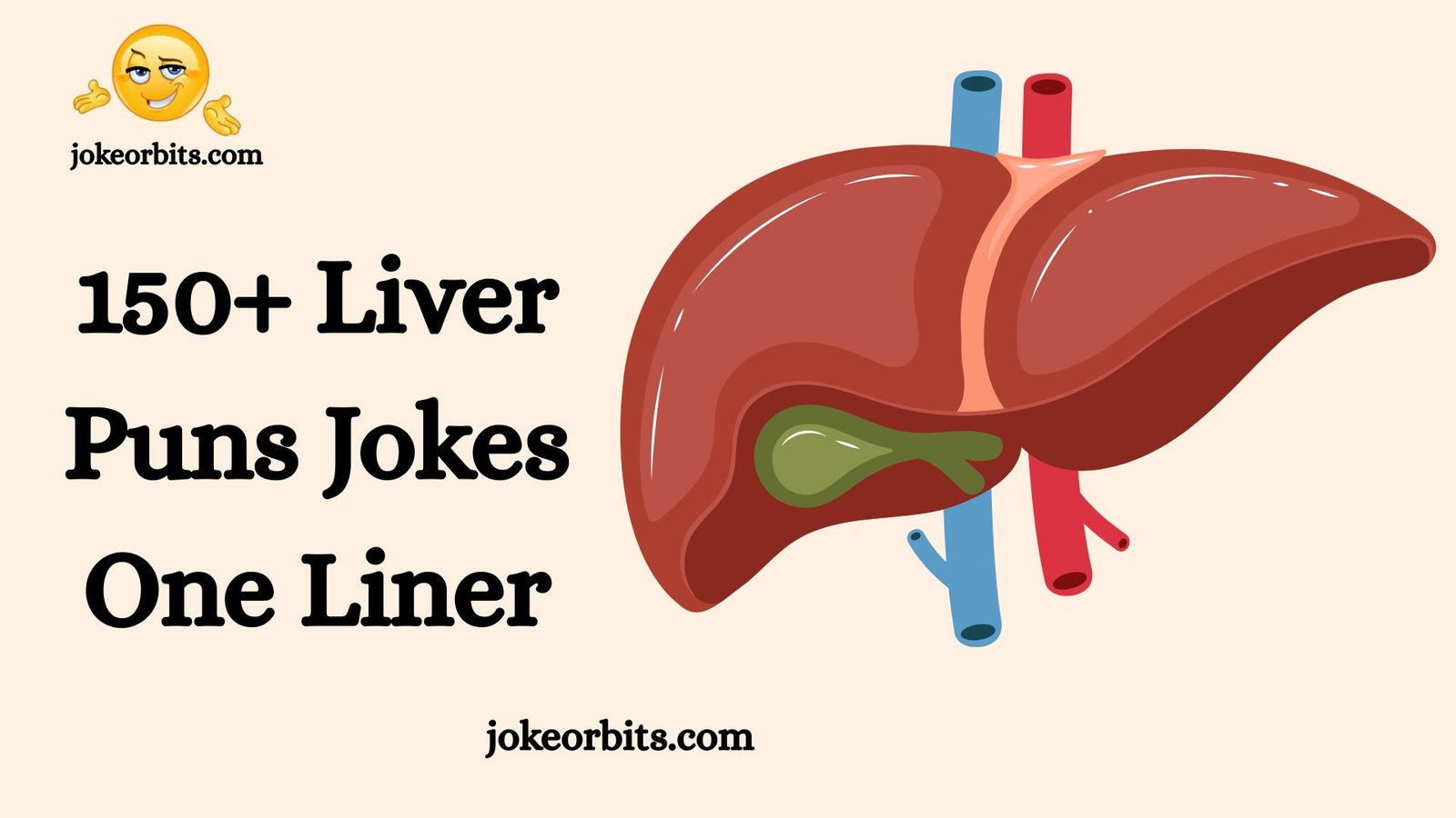 Liver Puns Jokes