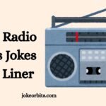 Radio Puns Jokes