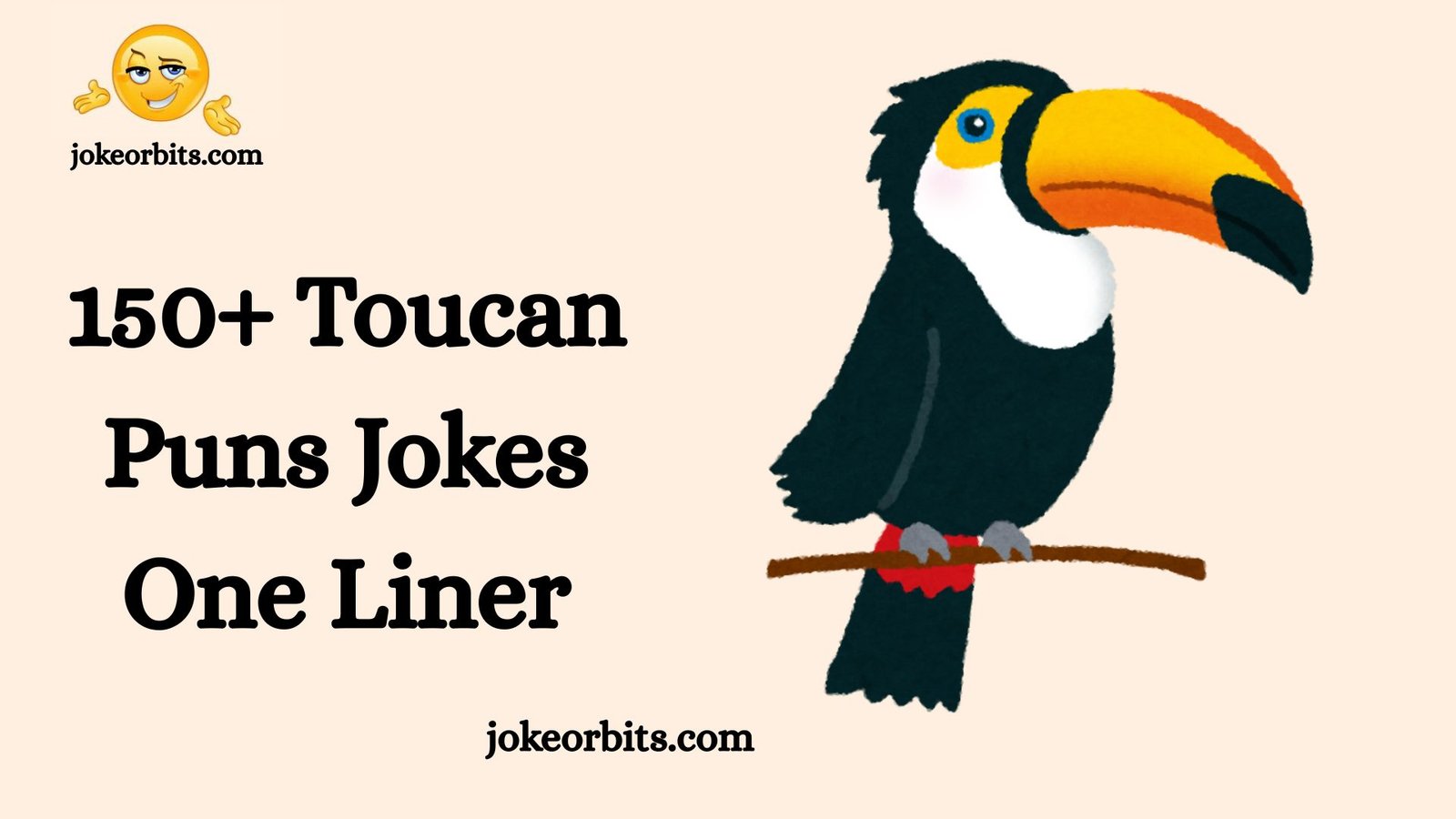 Toucan Puns Jokes