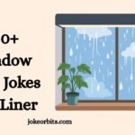 Window Puns Jokes