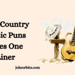 Country Music Puns Jokes