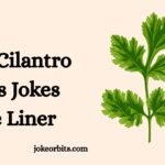 Cilantro Puns Jokes