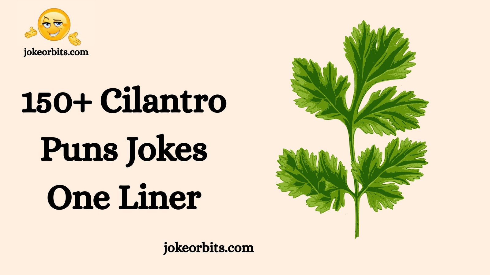 Cilantro Puns Jokes