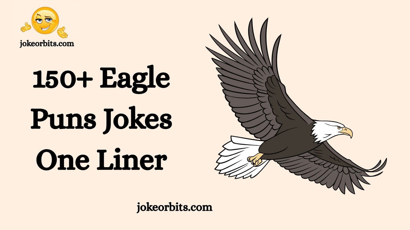 Eagle Puns Jokes