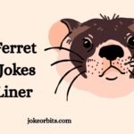 Ferret Puns Jokes