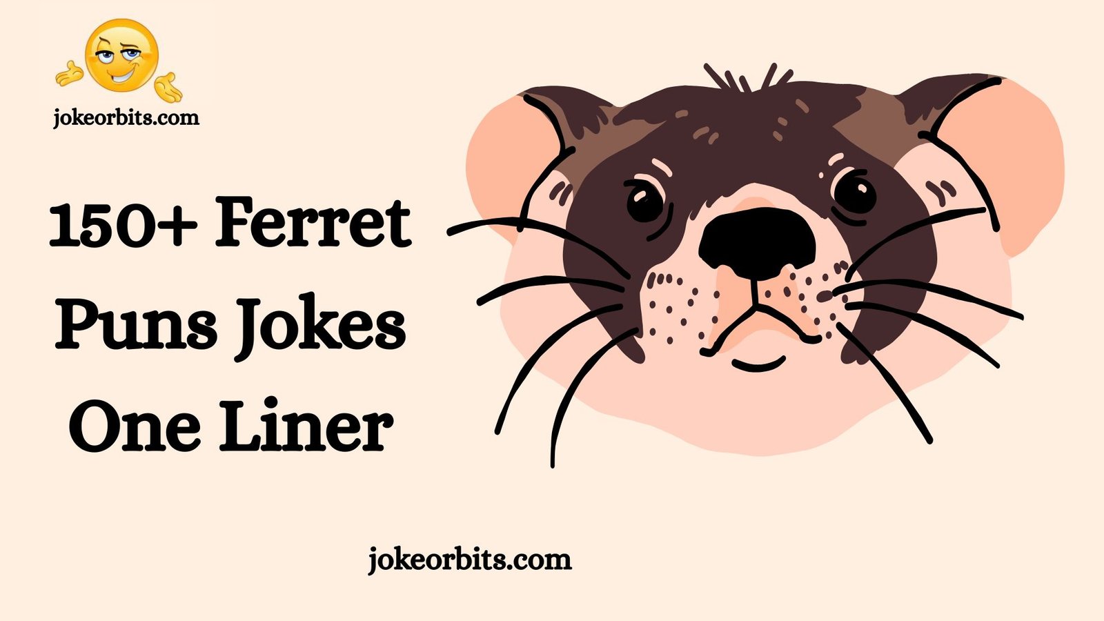 Ferret Puns Jokes