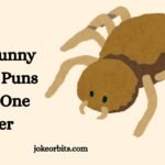 Funny Spider Puns Jokes