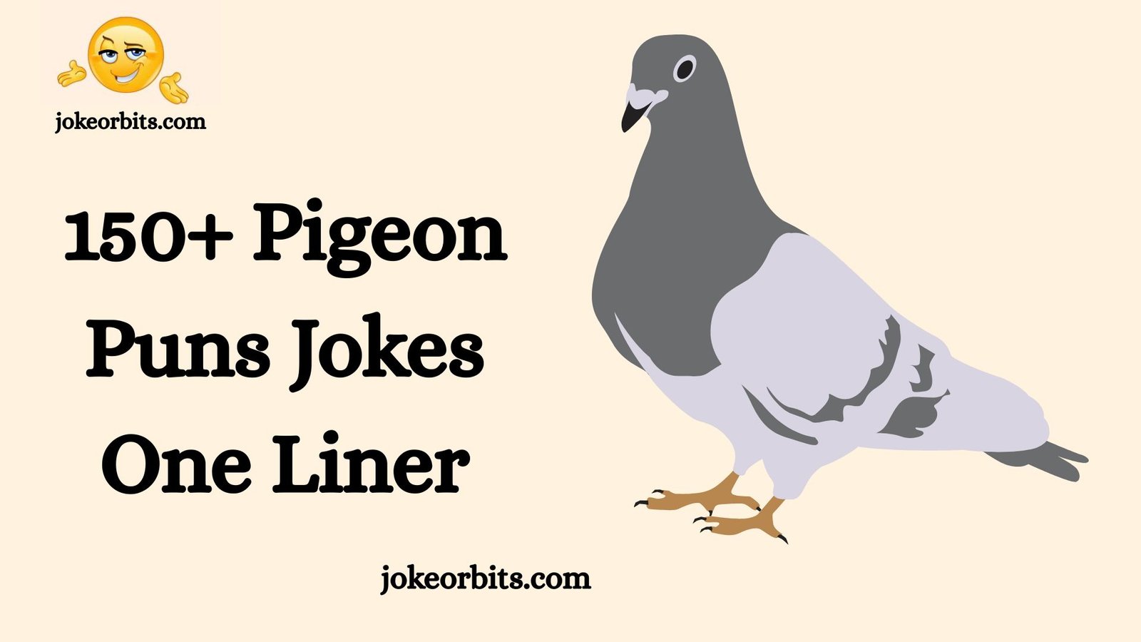 Pigeon Puns Jokes