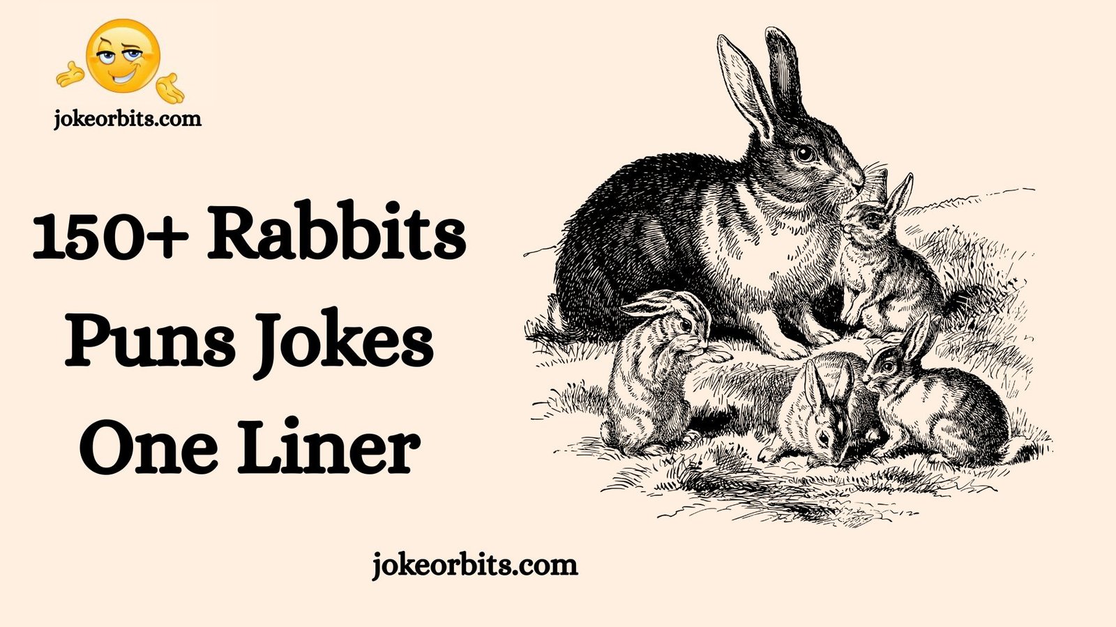 Rabbits Puns Jokes