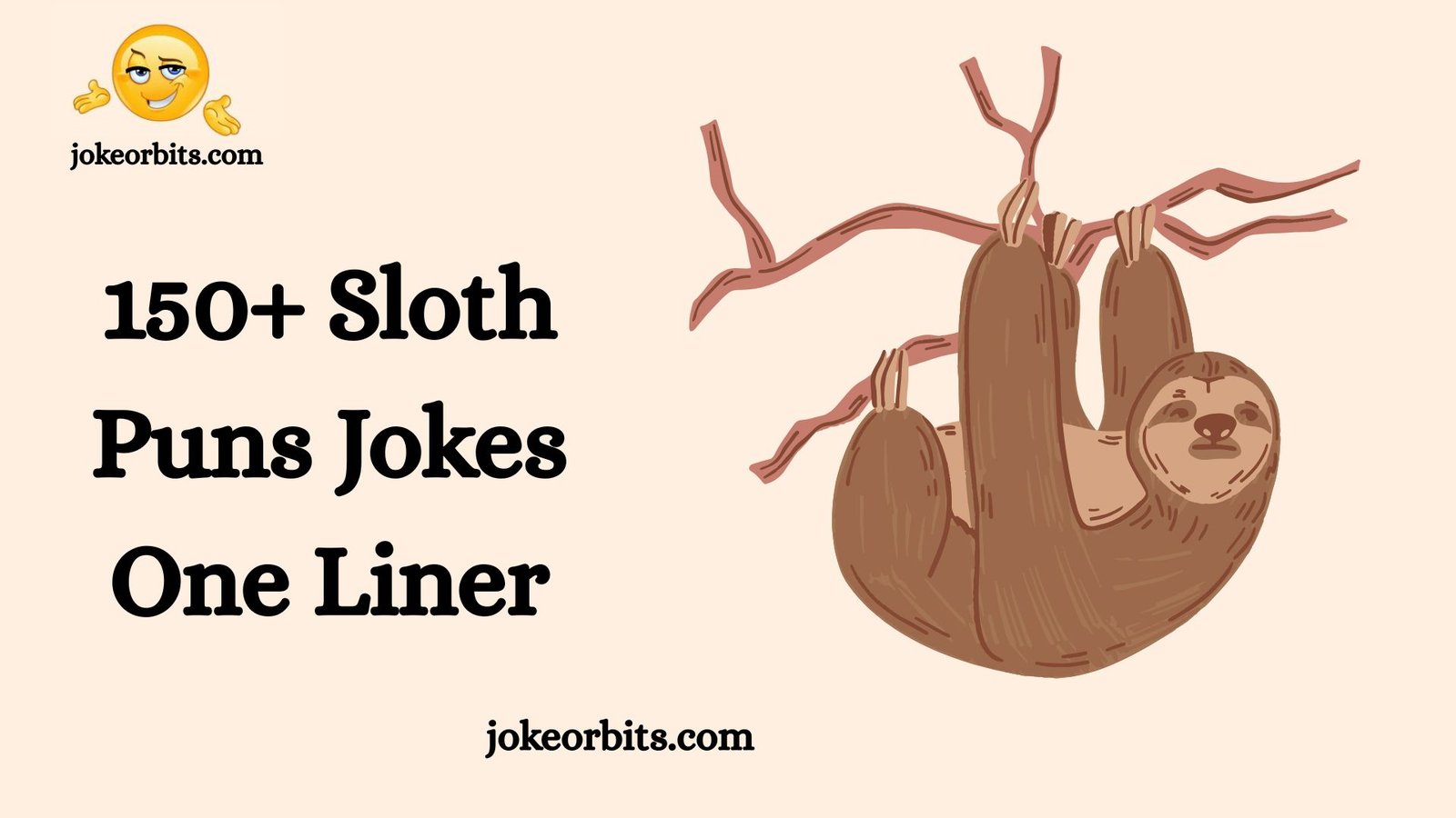 Sloth Puns Jokes